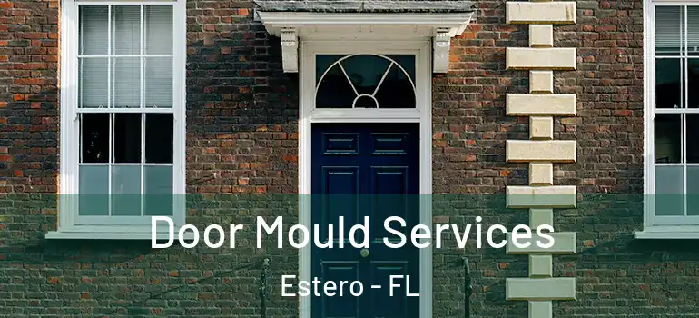  Door Mould Services Estero - FL