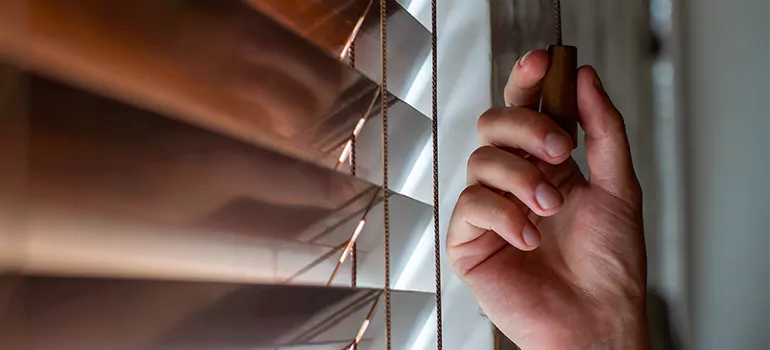 Double Roller Blinds in Estero, FL