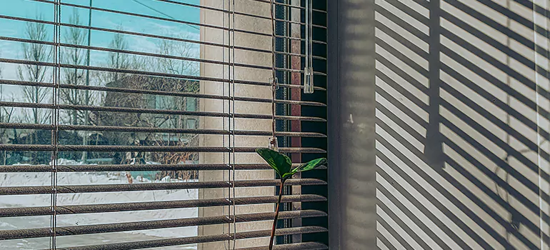 Commercial Window Blinds in Estero, FL