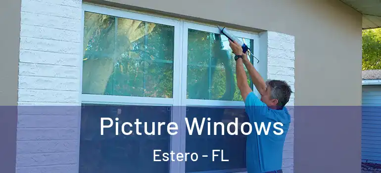  Picture Windows Estero - FL