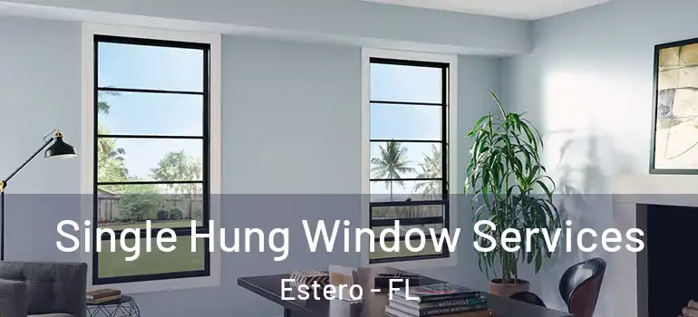  Single Hung Window Services Estero - FL