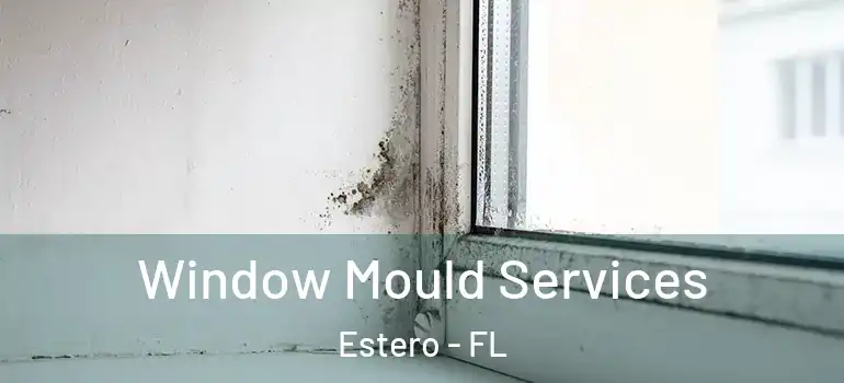 Window Mould Services Estero - FL